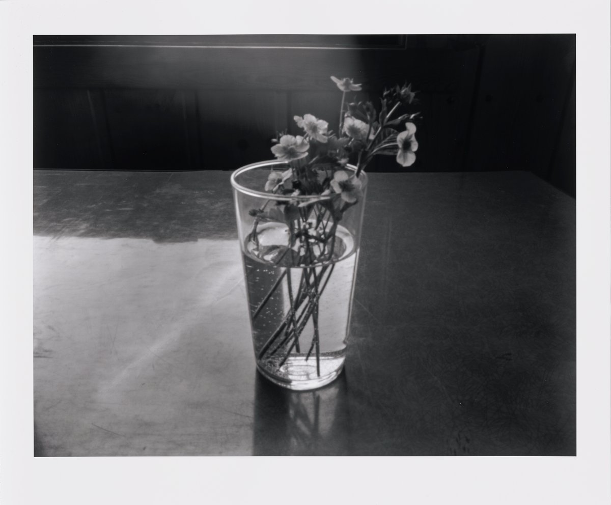 Ole John Aandal, «Camera Rosten #3», 2017/2024.
