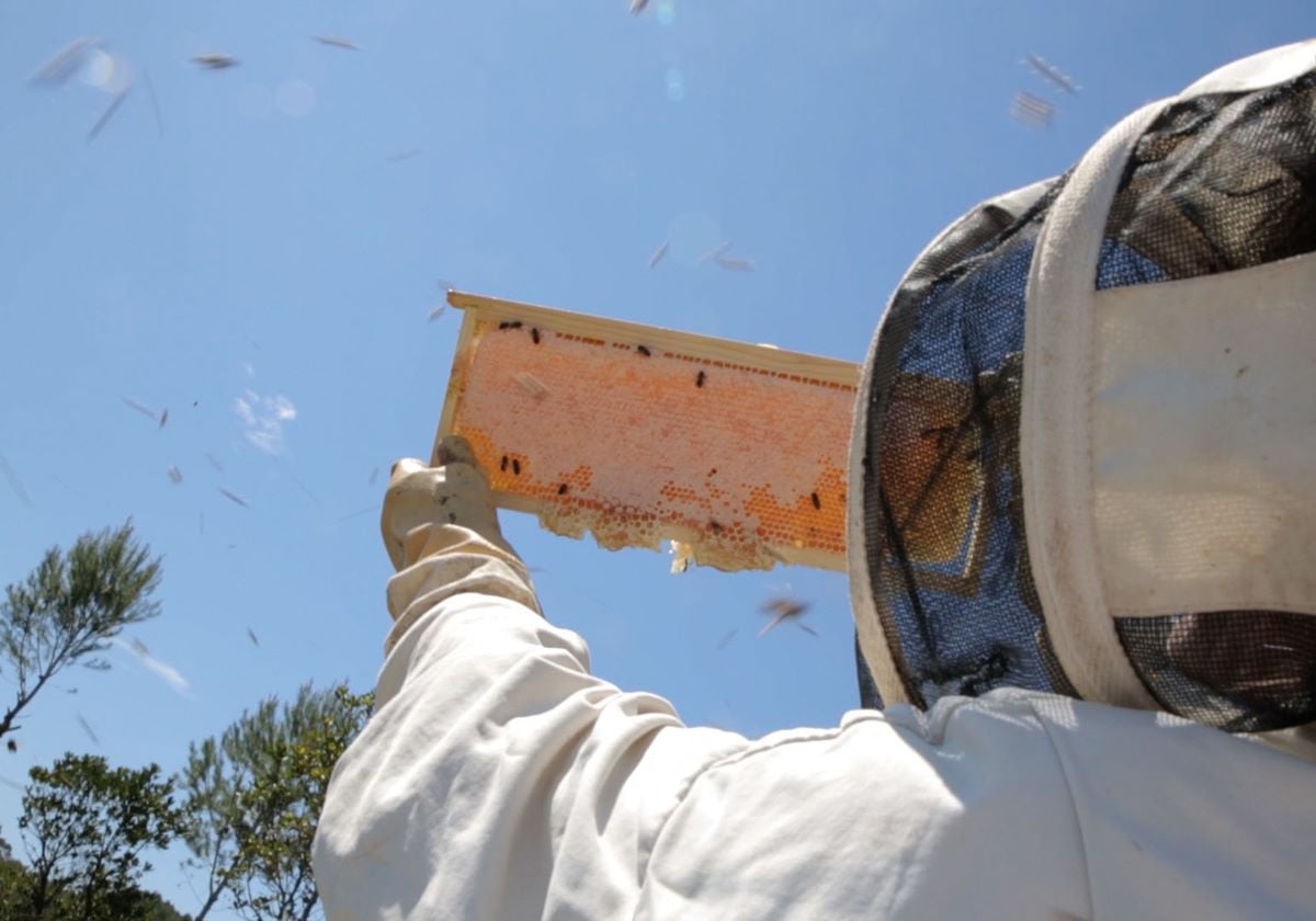 Kjersti Vetterstad, skjermdump frå «A Beehive in My Heart», 2019. Christopher Horne Iversen / Greenhouse Film Productions