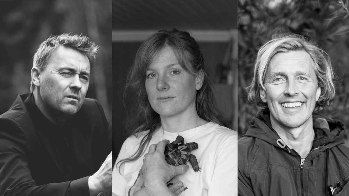 Collage med tre portrettbilder: en mann, en kvinne og en mann.