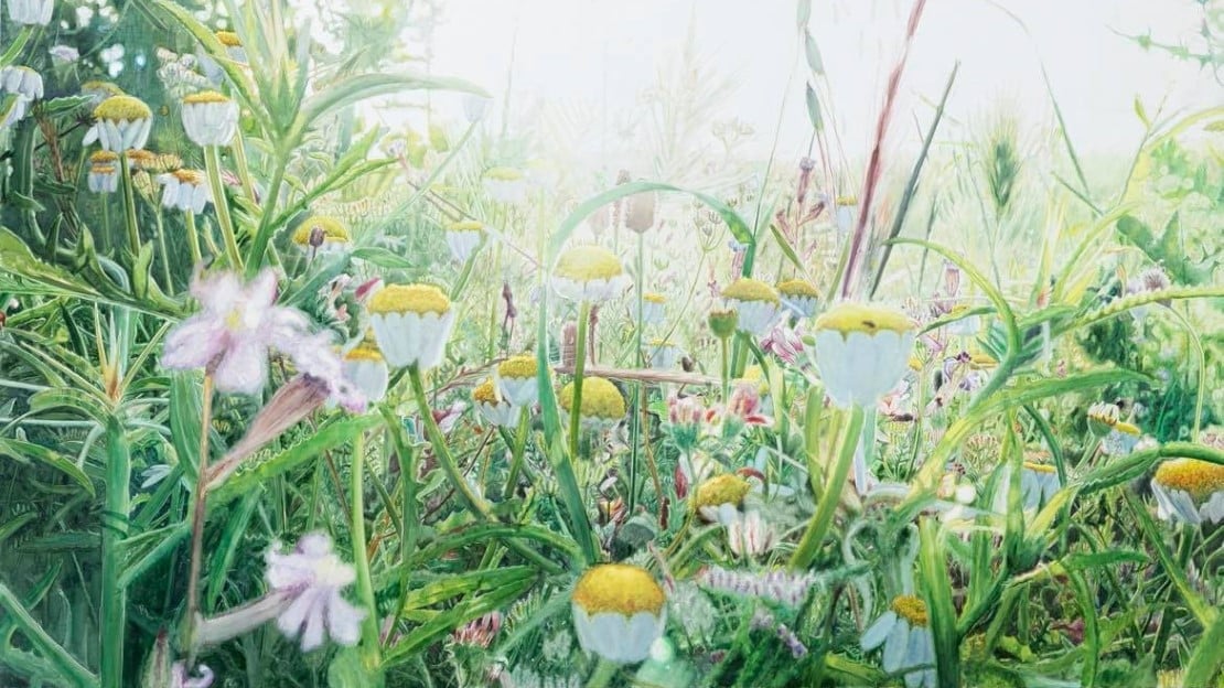 Vibeke Slyngstad «Shuafat XIII» (utsnitt), 2021 blomstereng