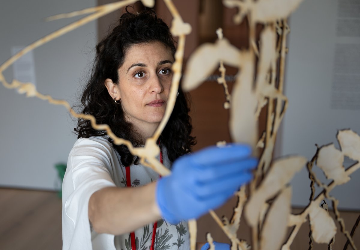 Jumana Manna er med på montering av hennes verk i Rom 87 på Nasjonalmuseet.