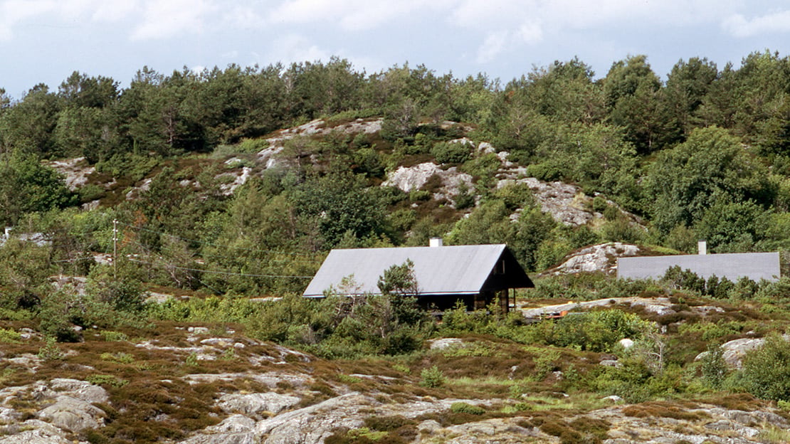 Tak på trehytter som ligger i landskap blant trær og steiner