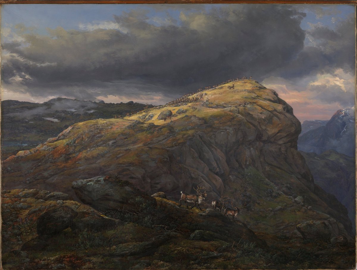 Fjellknaus med reinsdyr