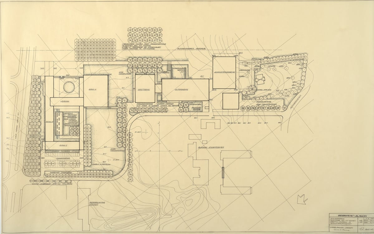 Landskapsarkitekt Steine Sverre K., Plantering ved HF-bygget, idretts- velferds- og administrasjonsbygget på Blindern, 1962