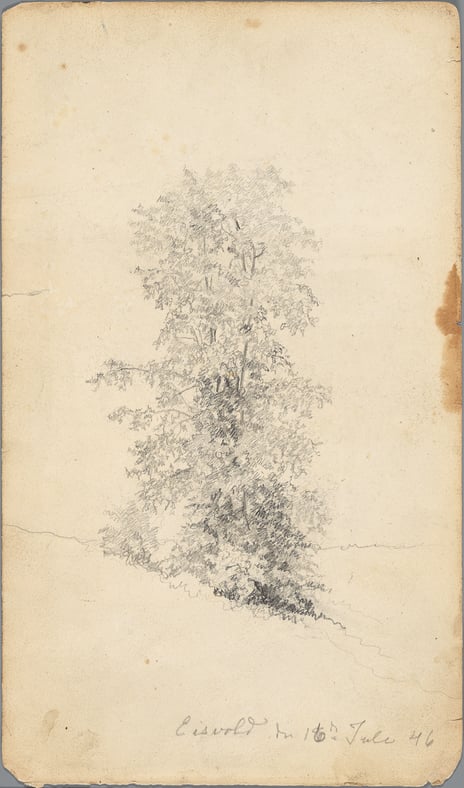 Hans Gude, «Løvtre», 1846.