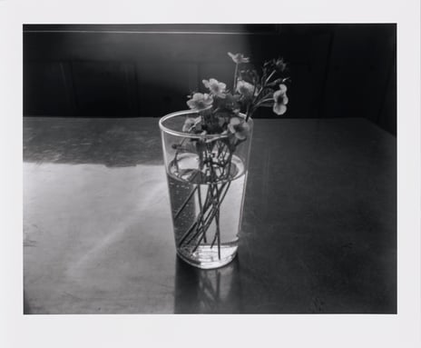 Ole John Aandal, «Camera Rosten #3», 2017/2024.