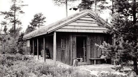 ​​Et sort-hvitt bilde av en trehytte, omgitt av skog
