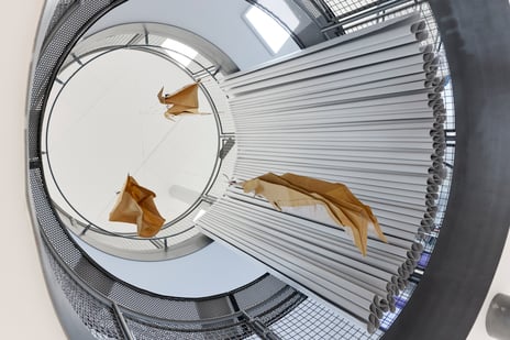 ​​The image features Issey Miyake paper dresses.​ 
