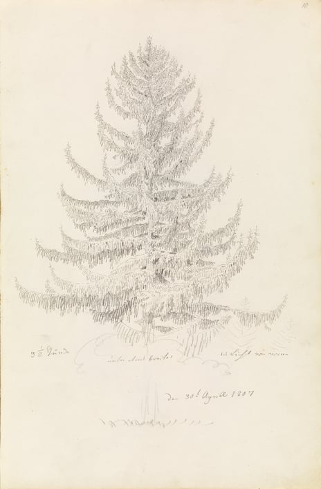 Caspar David Friedrich, «Grantre», 30. april 1807. Foto: Nasjonalmuseet