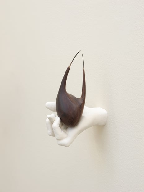 Ahmed Umar, «Glowing Phalanges», 2024.