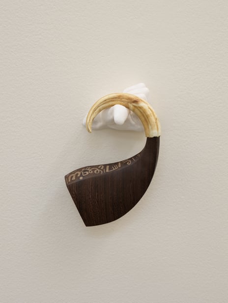 Ahmed Umar, «Glowing Phalanges», 2024.