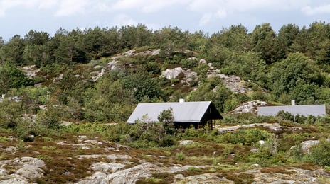 Typehytter «Strandhus» i landskapet på Hovneset, 1965. Arkitekter: Wenche og Jens Selmer. Tak på trehytter som ligger i landskap blant trær og steiner