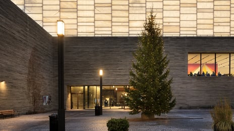 Bilde av julegran på museumsplassen utenfor Nasjonalmuseet