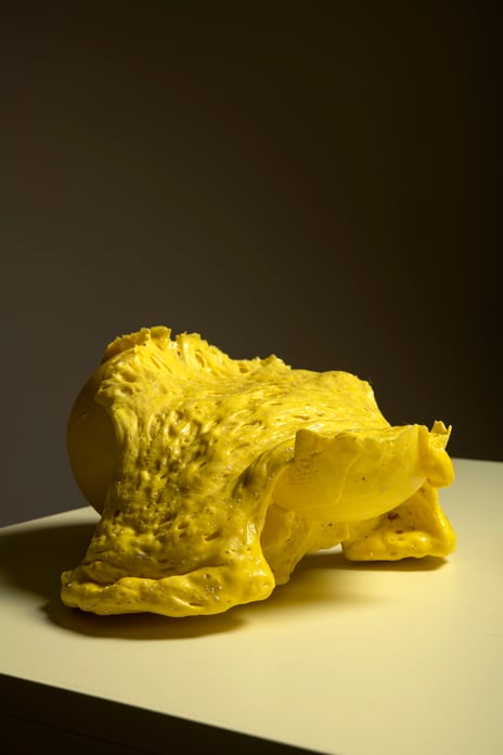 Karin Forslund, «Yellow Matter IV», 2022. Gul masse laget av glass.