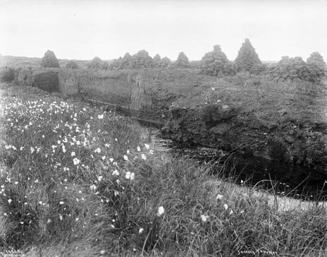 Svarthvitt gammelt foto av tormyr