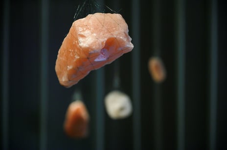 Anawana Haloba, «Tett på», detalj, 2013–2016