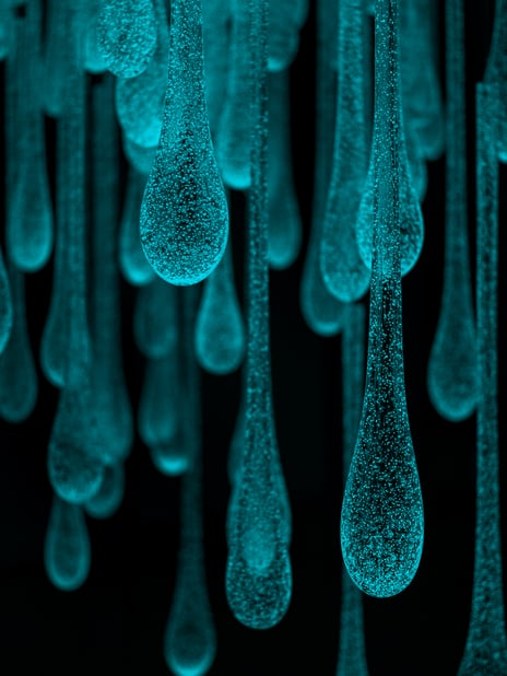 Rui Sasaki, «Liquid Sunshine/I am a Pluviophile», 2025
