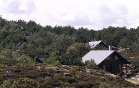 Jens og Wenche Selmer, Typehytter «Strandhus» i landskapet på Hovneset, 1965.