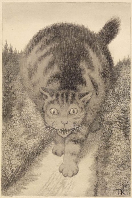 katt