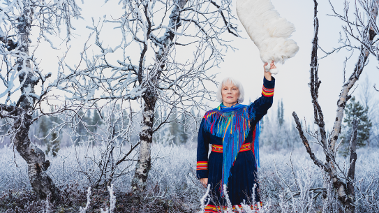 Britta Marakatt-Labba (born 1951). Portrait of Honour 2022