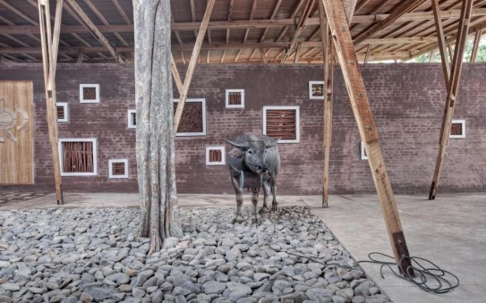 Cassia Co-op Training Center, Sumatra. Tyin Tegnestue Arkitekter. © All rights reserved.