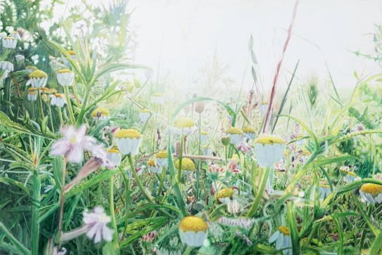 Vibeke Slyngstad «Shuafat XIII», 2021 blomstereng
