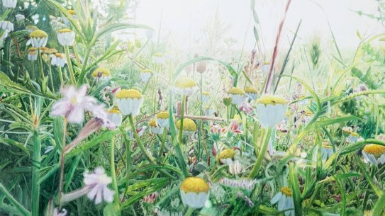Vibeke Slyngstad «Shuafat XIII» (utsnitt), 2021 blomstereng