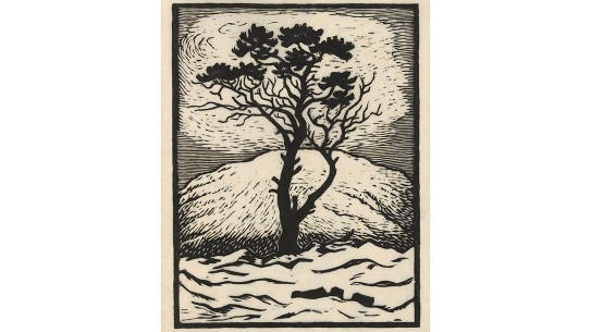 John Savio, «Ovtasgas betse» / «Enslig furu» (utsnitt), Mellom 1928 og 1938