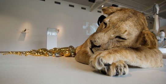 Idiots «Ophelia», 2005, fra utstillingen.