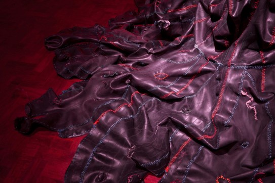 Nicholas Hlobo, Izithunzi (detalj), 2009.