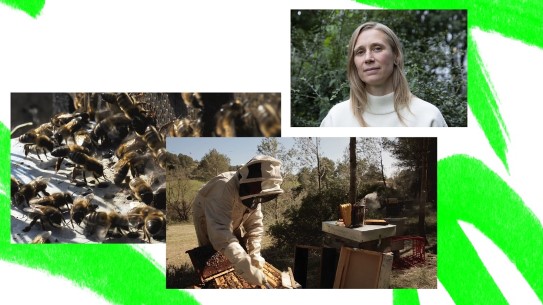 Utsnitt av et utvalg av kunstnerens verk. Verkene vil ikke nødvendigvis vises i utstillingen «Jeg kaller det kunst».