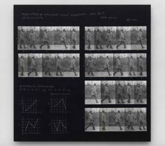 Dóra Maurer, «Reversible and Changeable Phases of Movements 5», 1972.