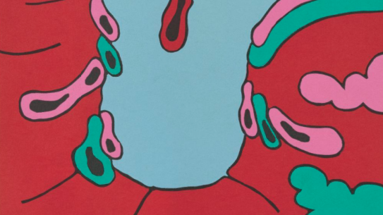 Carroll Dunham, «Places and things (#3)» (utsnitt), 1991-1992