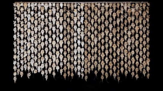 Máret Ánne Sara, «Pile o´Sápmi Supreme», 2017 reindsyrhodeskaller henger tett i tett