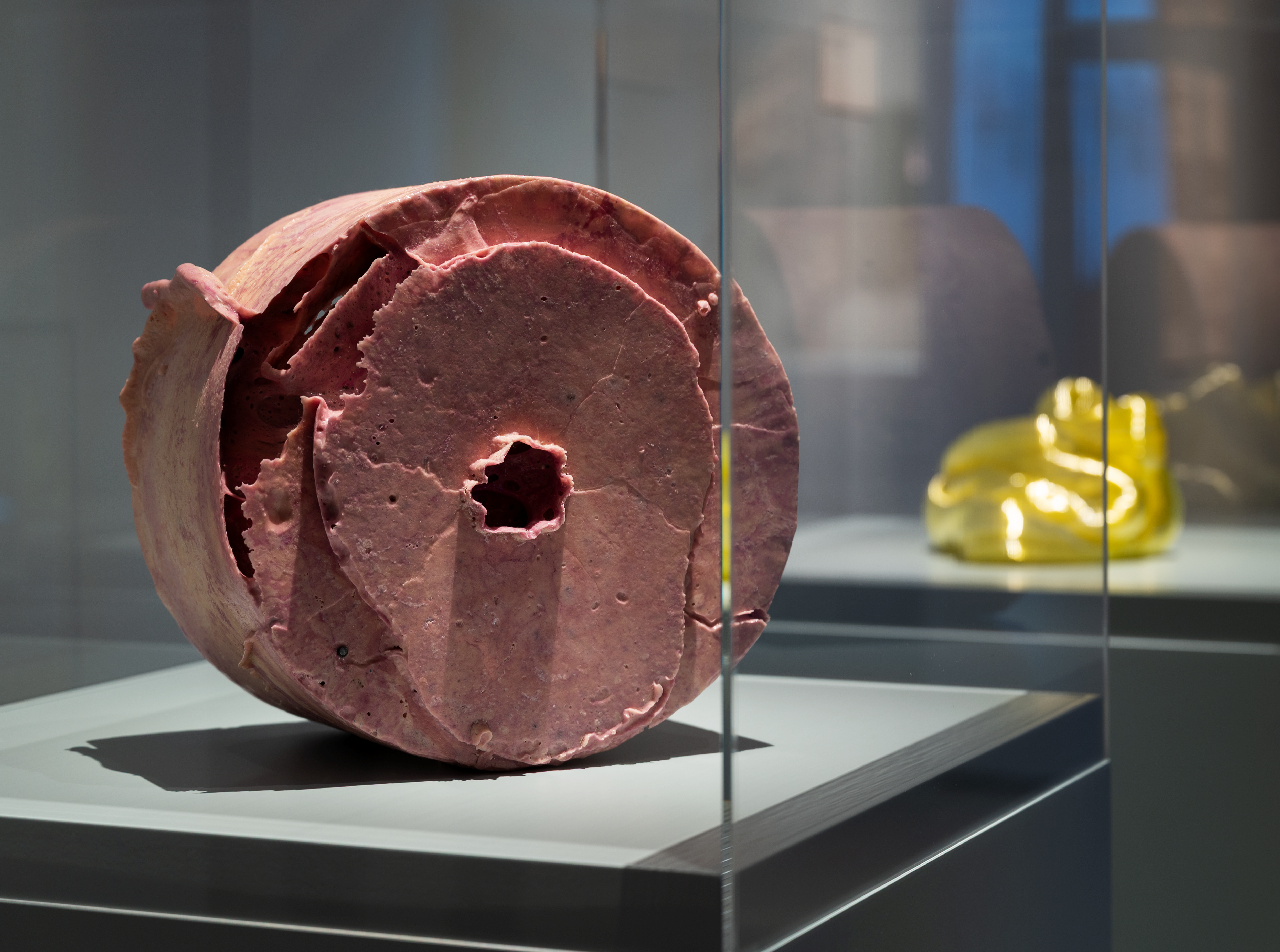 Karin Forslund, «Rosa materie III», 2022. En rosa sirkel laget av glass, plassert i et monter.