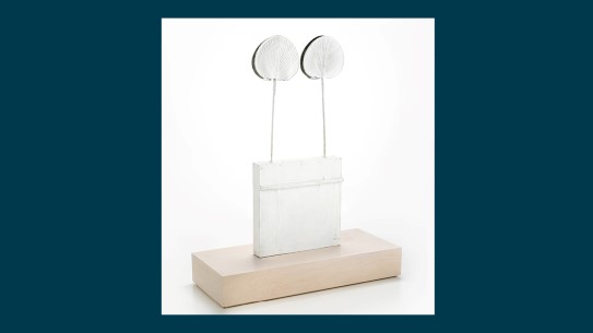 Cy Twombly, "Untitled (Funerary Box for a Lime Green Python)", 2002. Courtesy of the Fredriksen Family Collection. Two white painted palm leaf fans standing in a white painted box, cast in bronze.