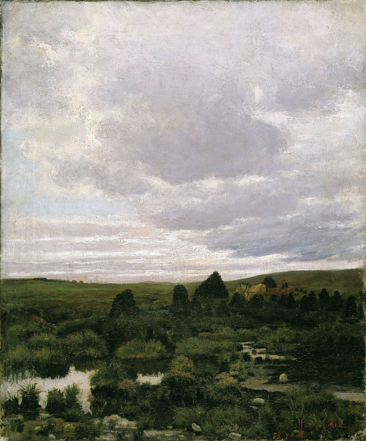 Grå himmel og myrlandskap
