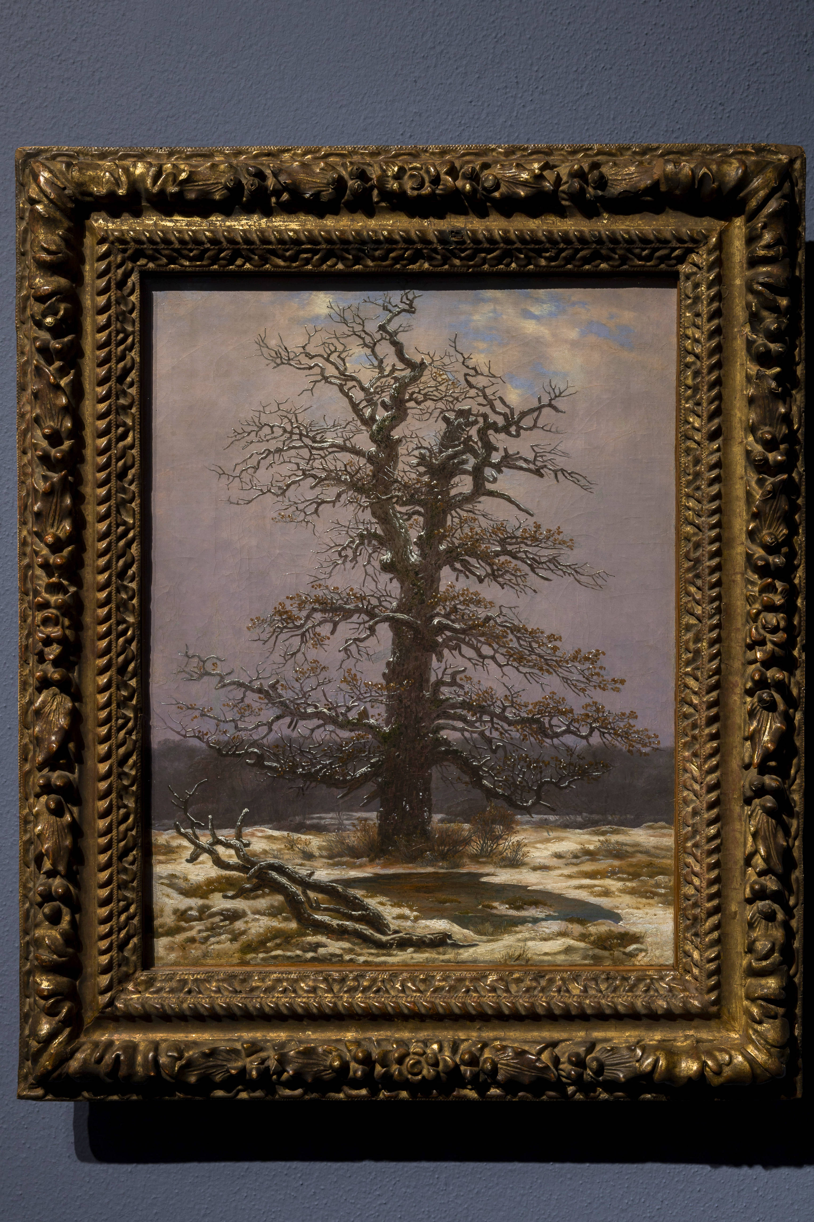Foto av Caspar David Friedrichs maleri «Bladløs eik» ved Wallraf-Richartz-Museum, Kõln.