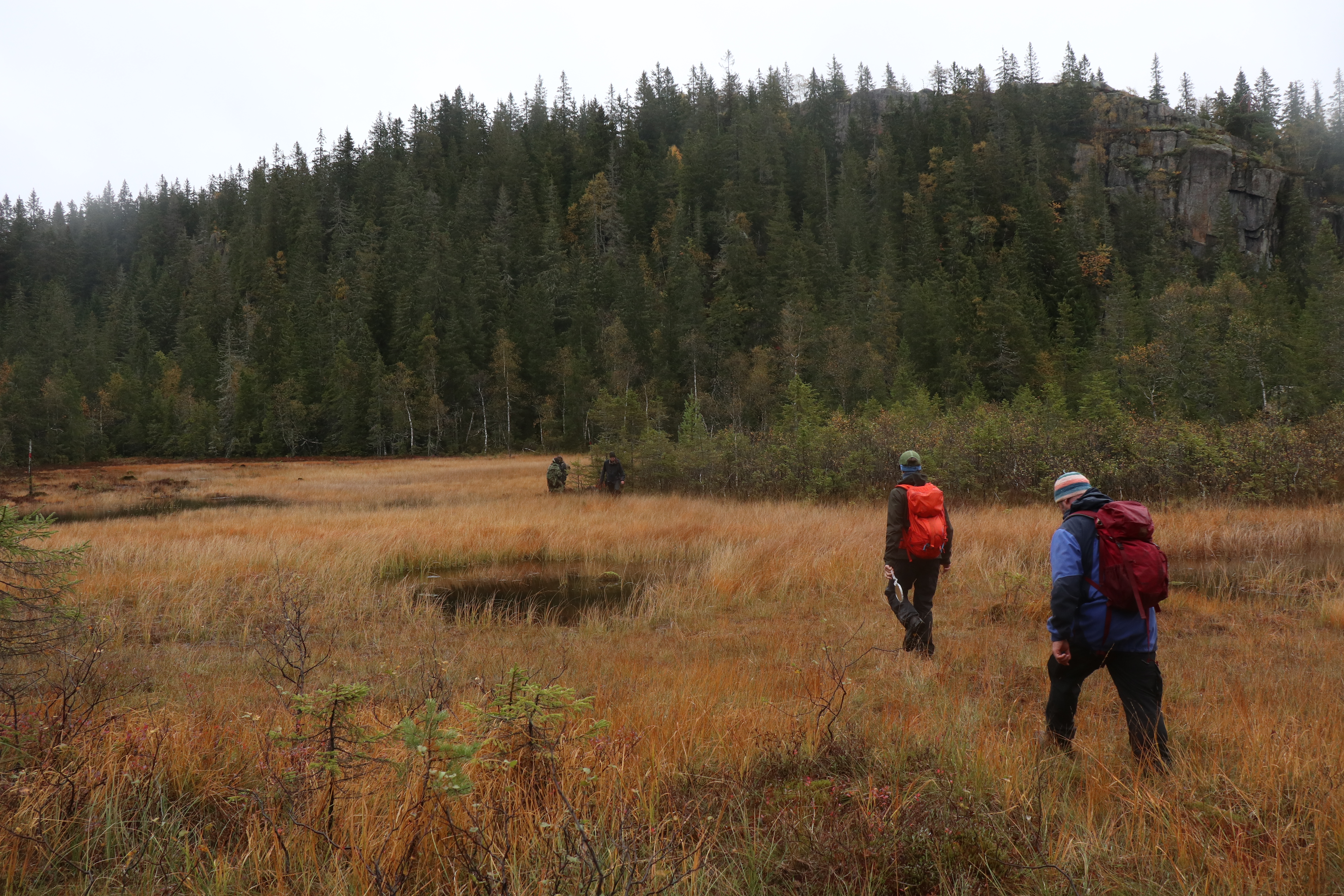 Two people in a bog