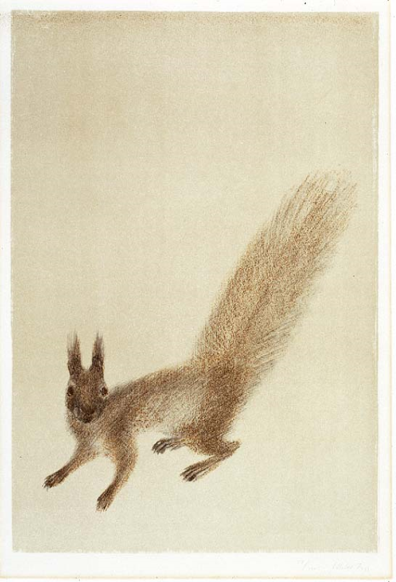 Lillebet Foss, «Hoppende ekorn», ukjent år. Ekorn
