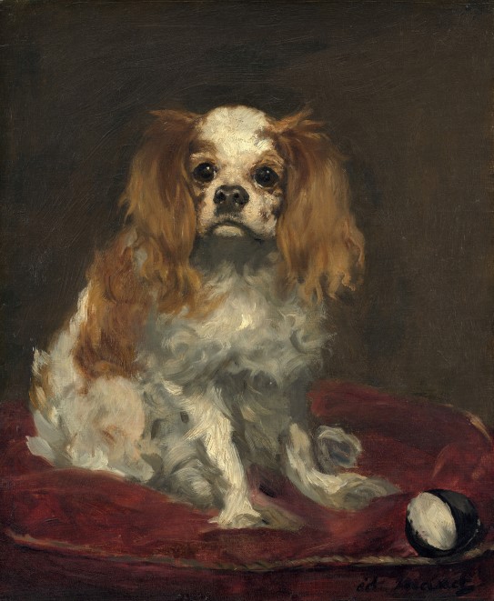Édouard Manet, «A King Charles Spaniel», ca.1866