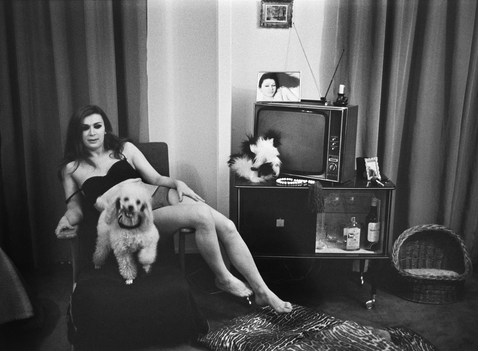 Kvinne og hund på hotellrom