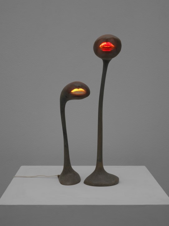 Alina Szapocznikow, «Pour Louise», 1969 Lampeskulpturer i grått