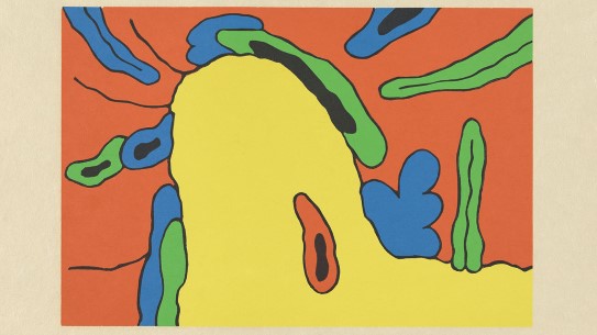 Carroll Dunham, «Places and Things (#4)» (utsnitt), The Grenfell Press, 1992